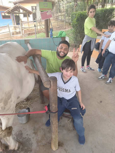 Bicho Mania 2022